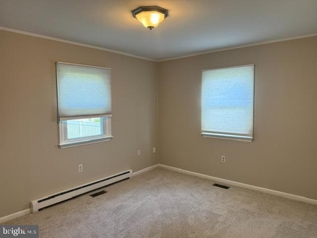 217 Oak Drive photo 12
