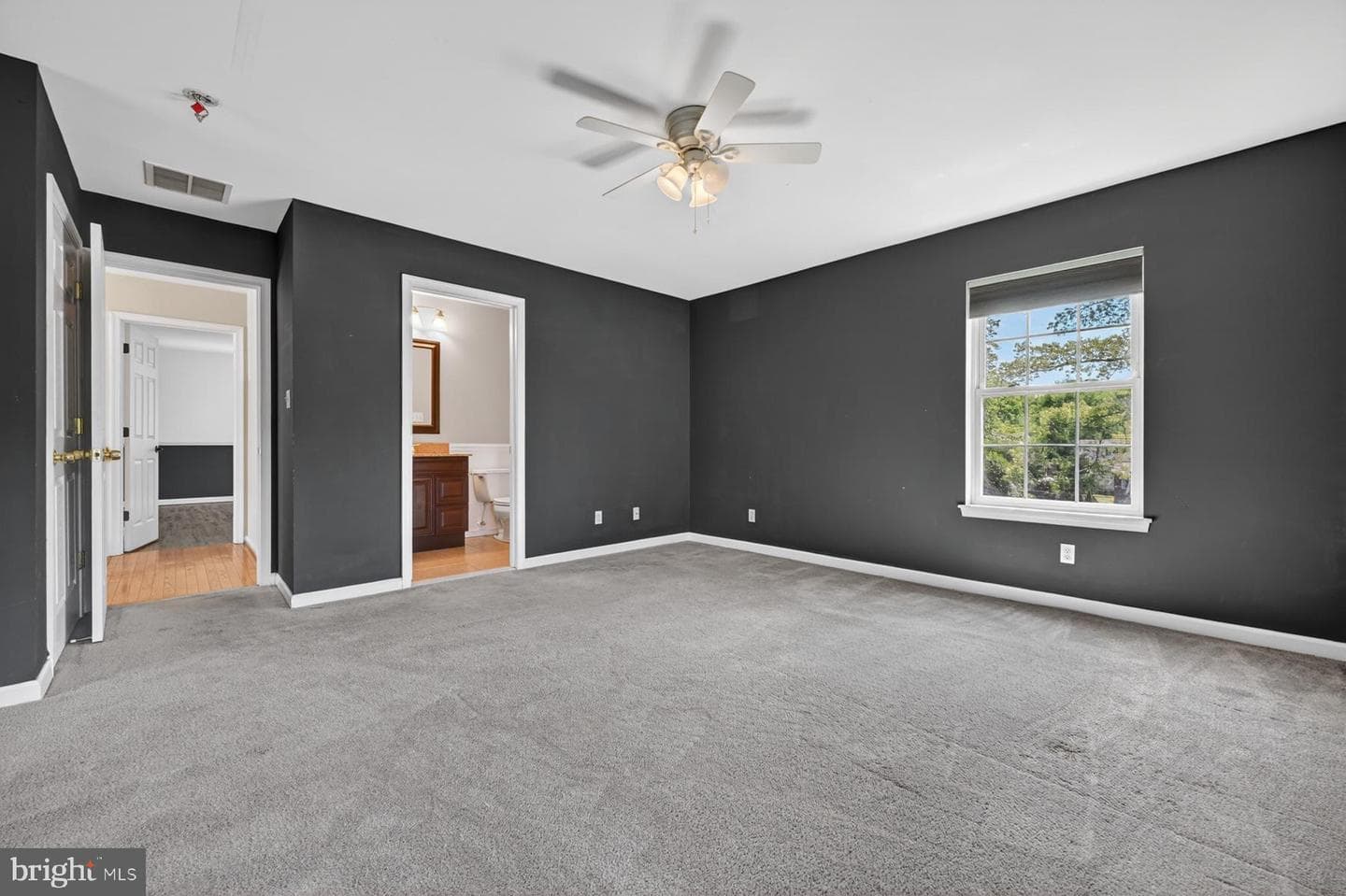 217 Oak Drive photo 26