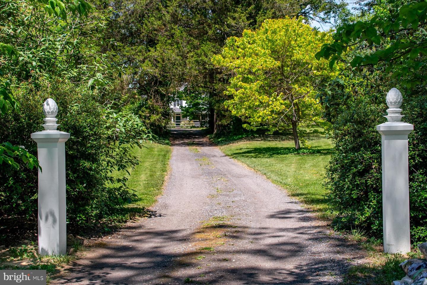 5503 Brooks Woods Road photo 60