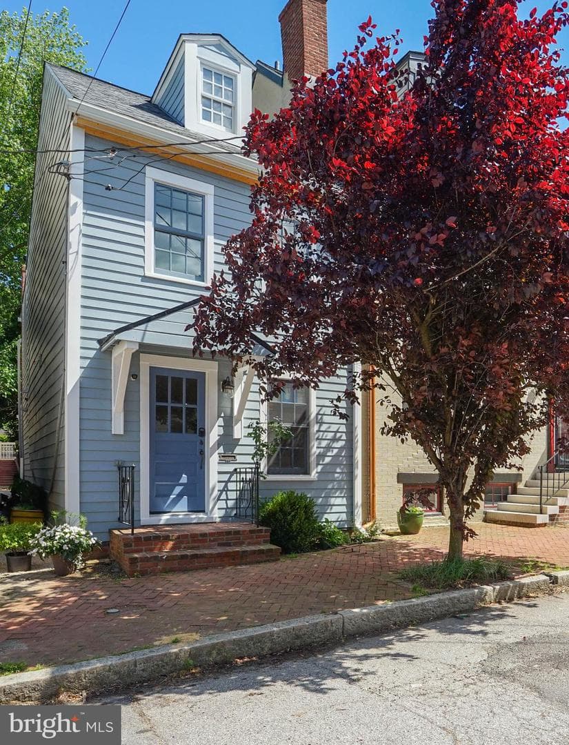 9 College Avenue photo 52