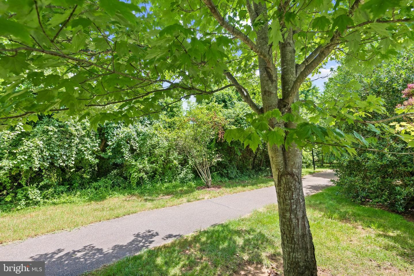730 Crisfield Way photo 31