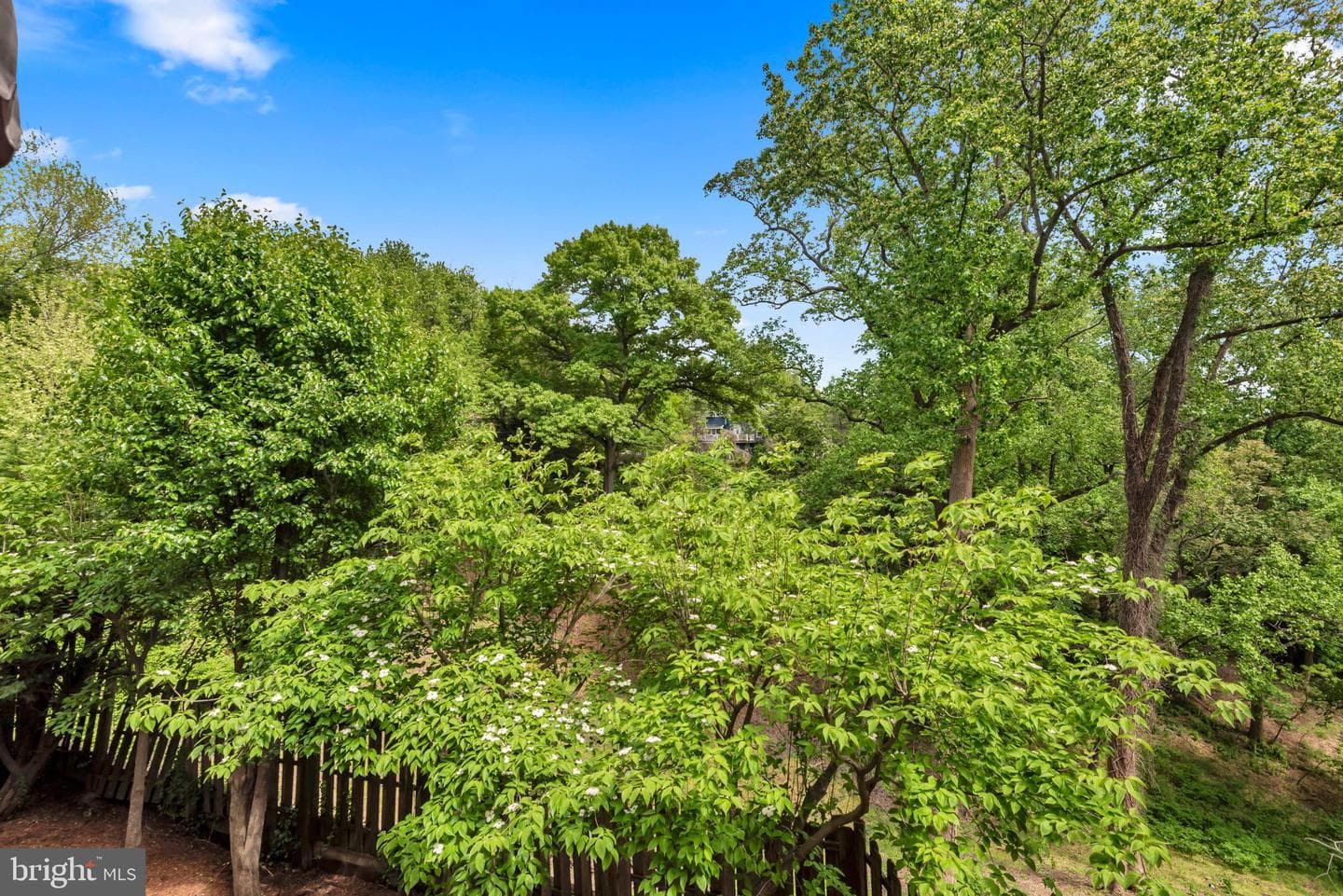 155 Ridgeway Circle photo 45
