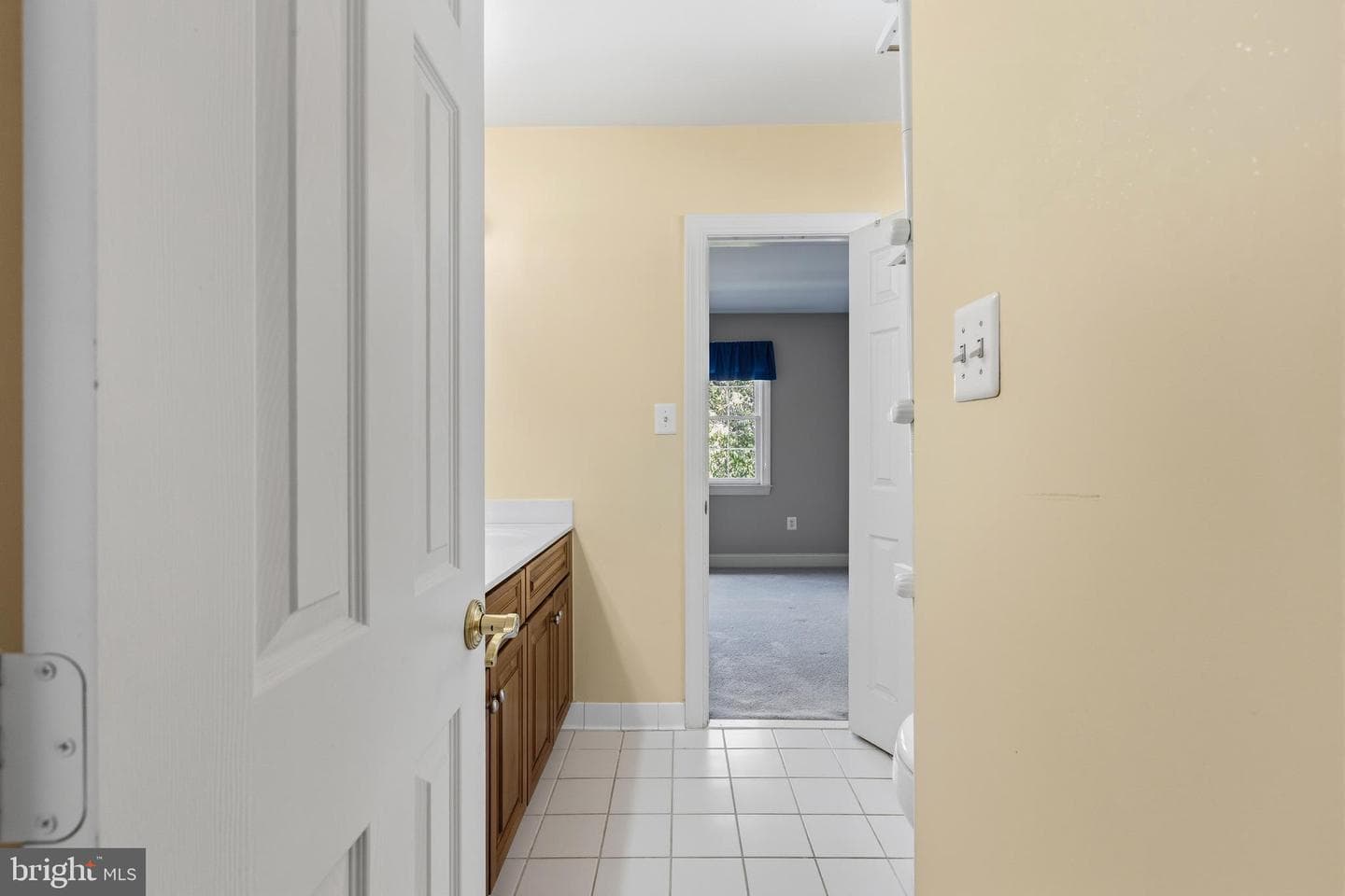 2906 Boyds Cove Drive photo 39