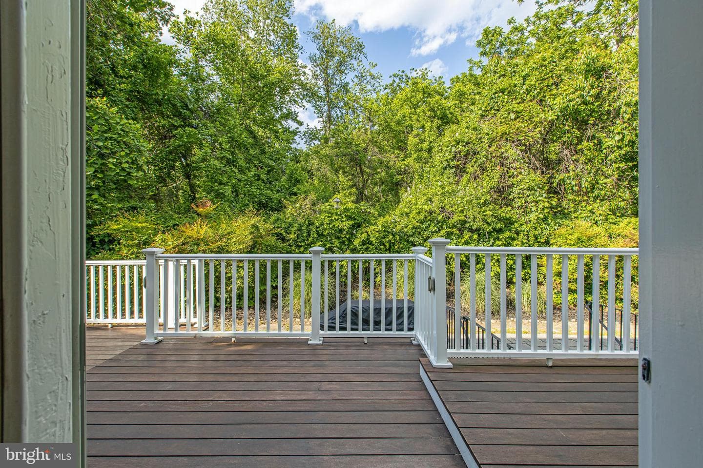 2906 Boyds Cove Drive photo 67