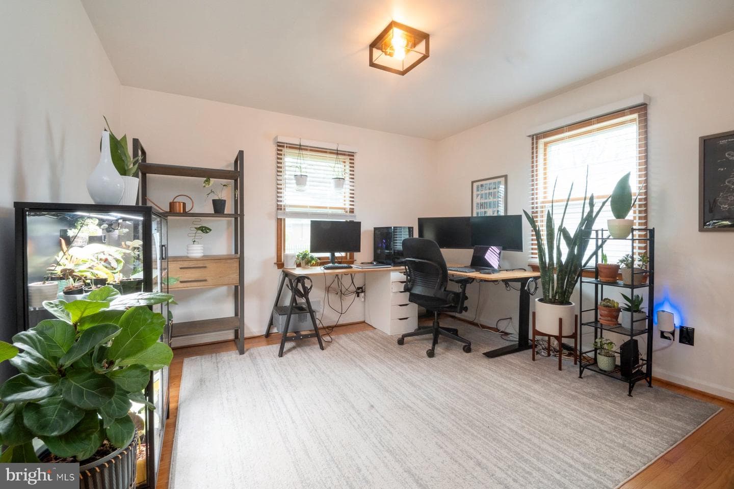 6303 Homewood photo 17