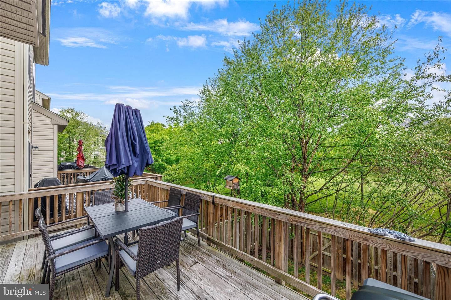 1163 Carinoso Circle photo 39