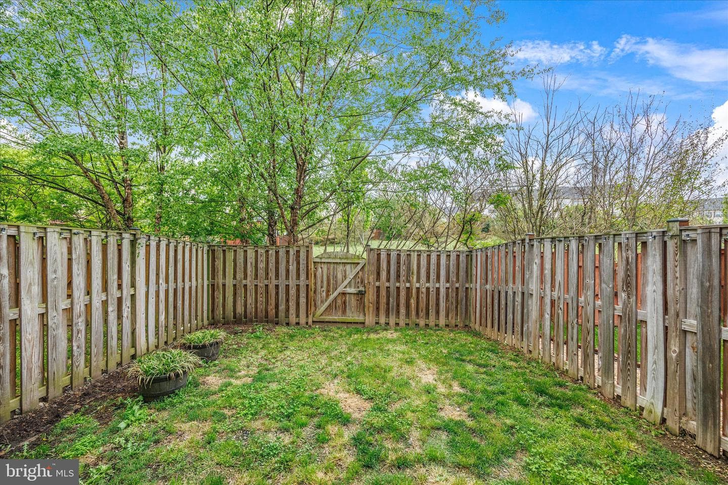 1163 Carinoso Circle photo 42