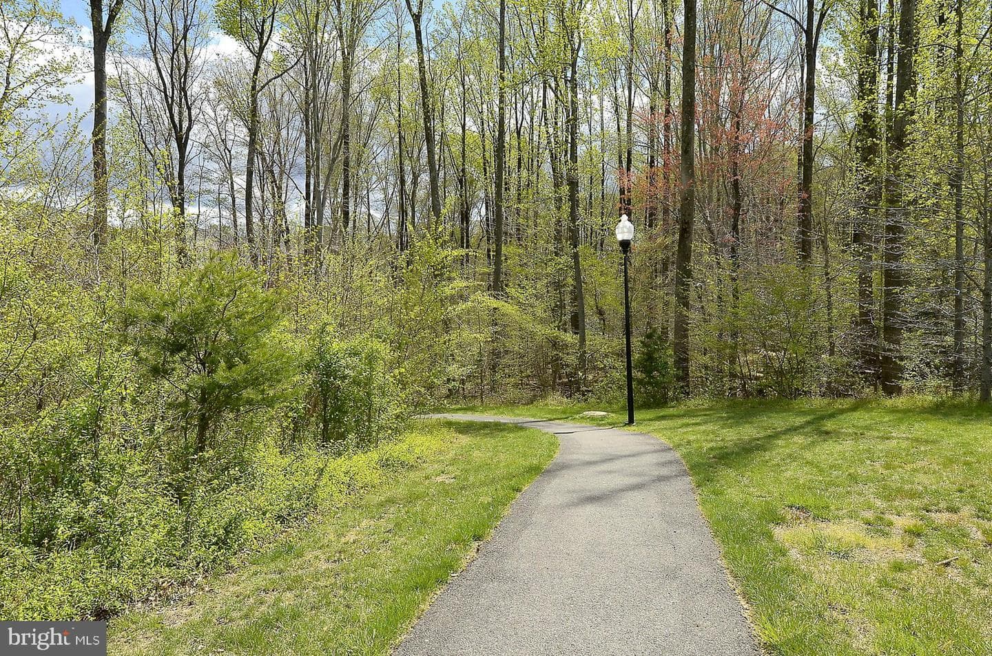 8733 Orchard Green Court photo 55