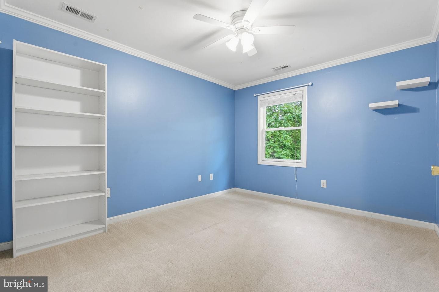 374 Holly Trl photo 22