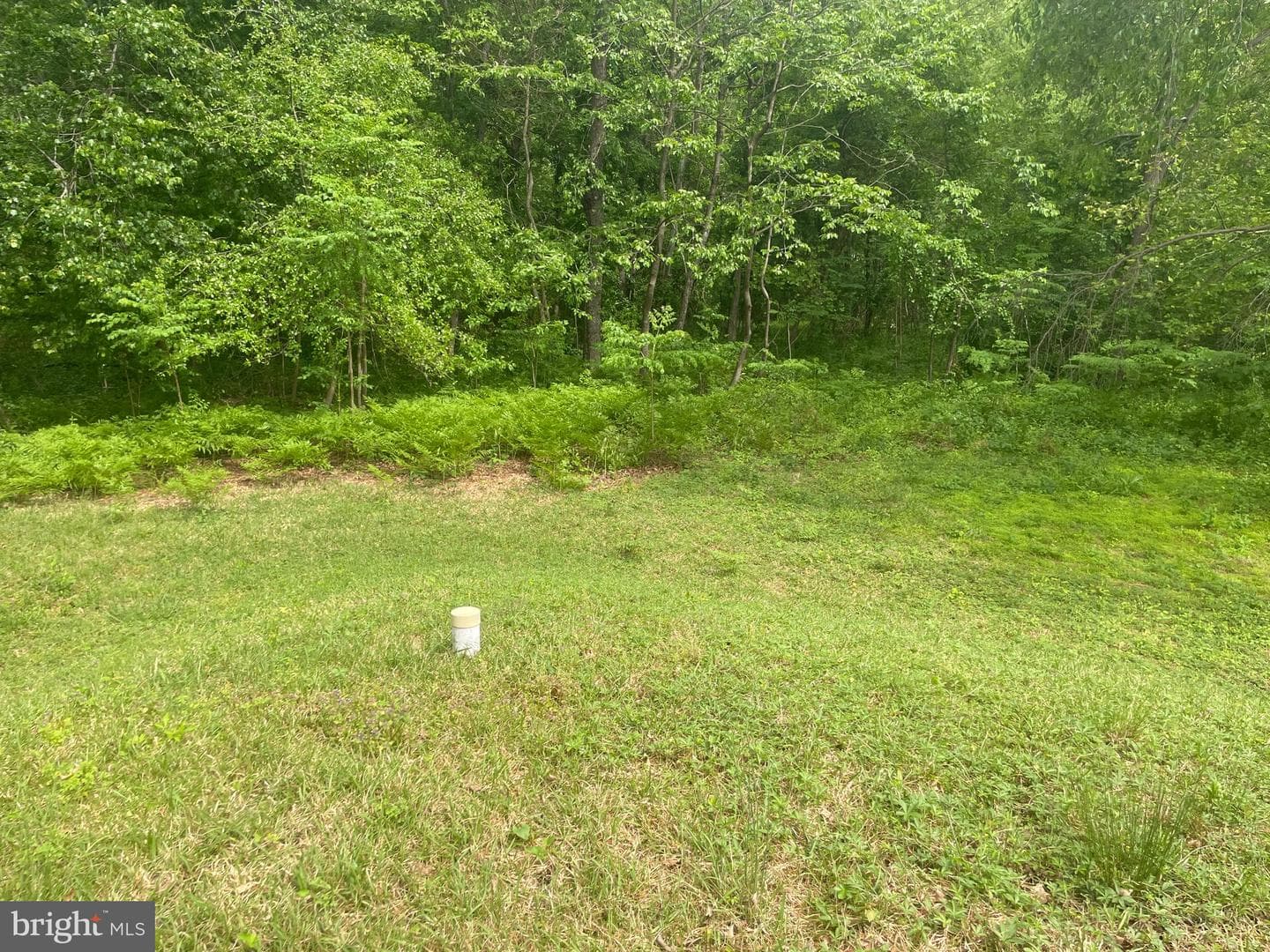 273 Severn Road photo 35