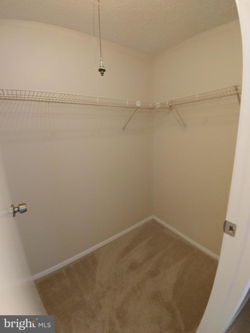 7845 Flintshire Court photo 9