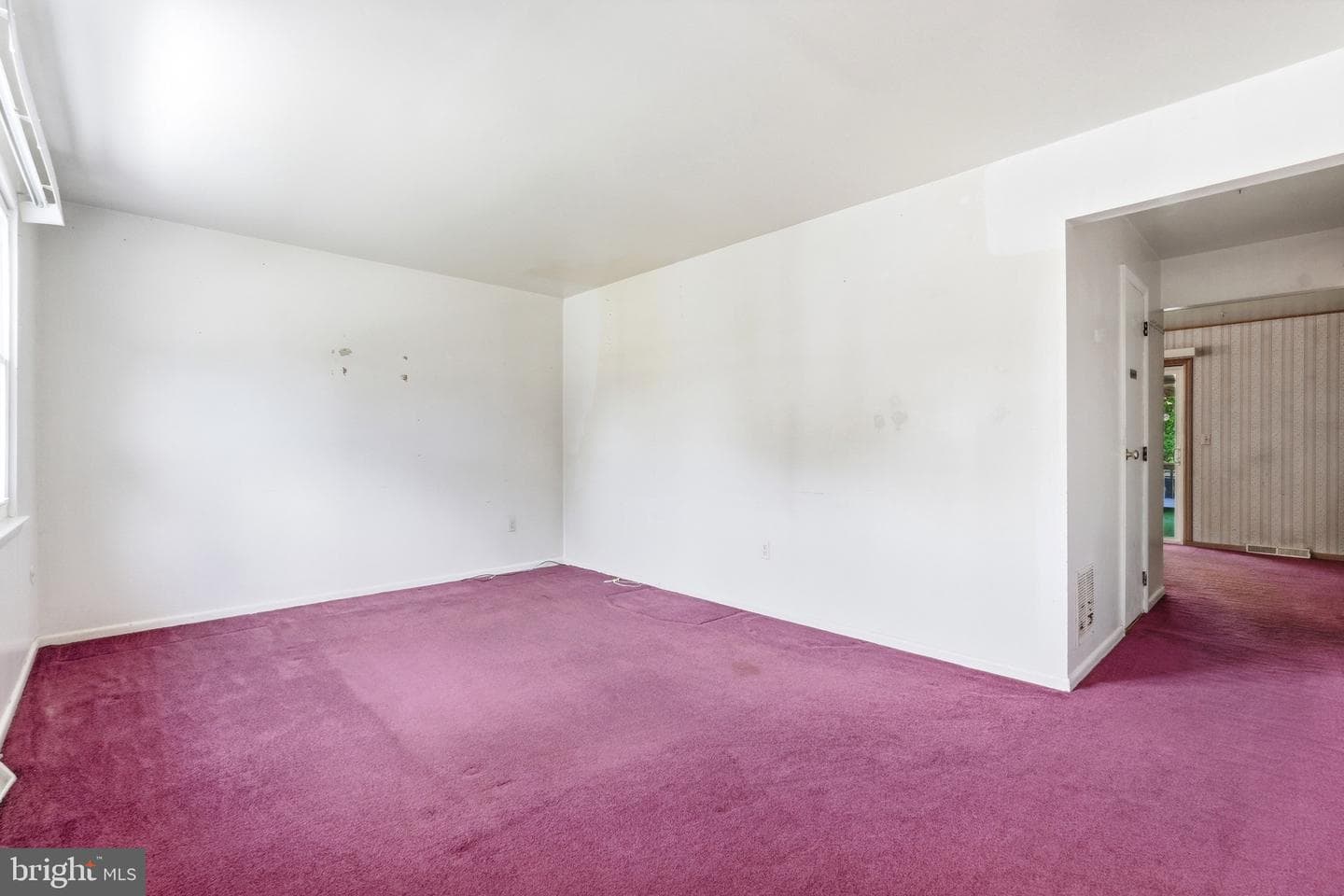 121 Conley Drive photo 19