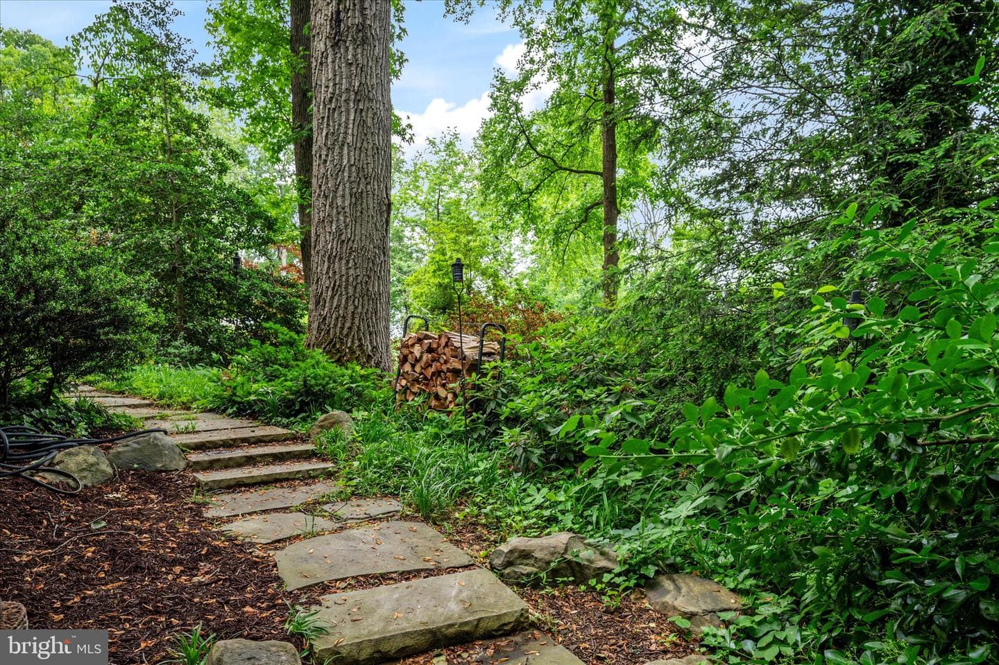 934 N Forest Trail photo 57