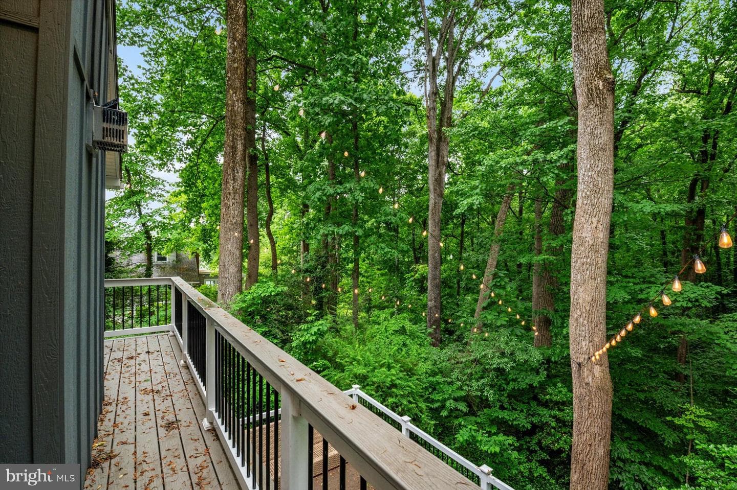 934 N Forest Trail photo 6