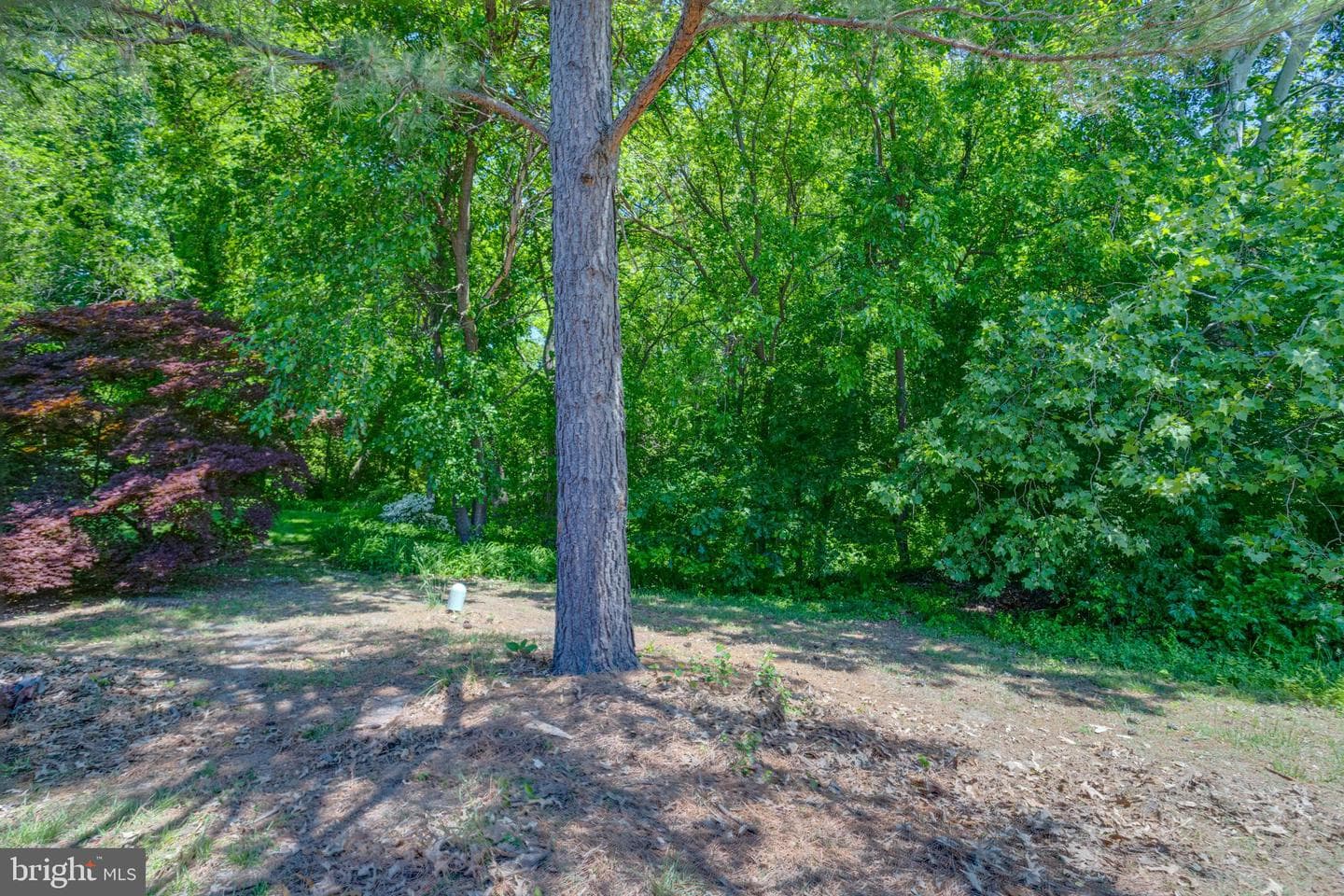 912 Hingham Harbour photo 53
