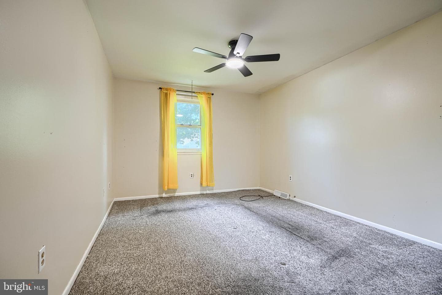 212 Evans Street photo 19