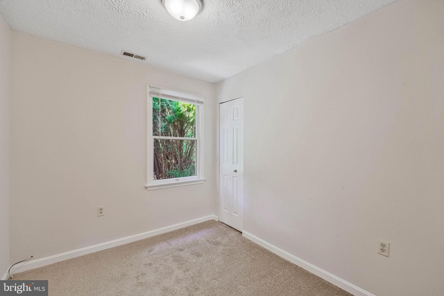 650 Teton Dr photo 15