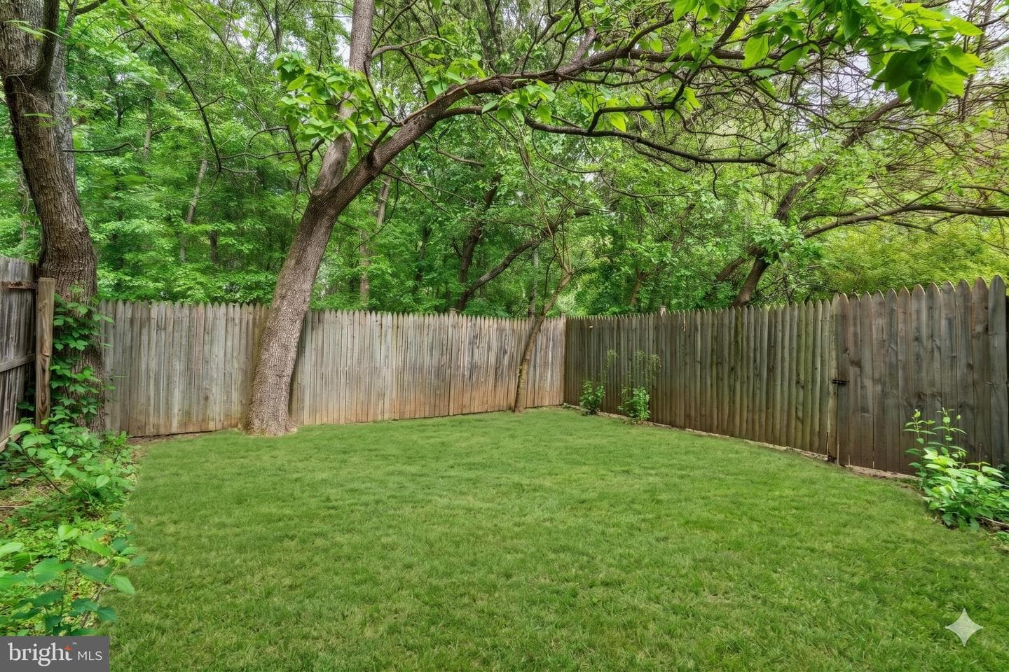 8247 Parham Court photo 24