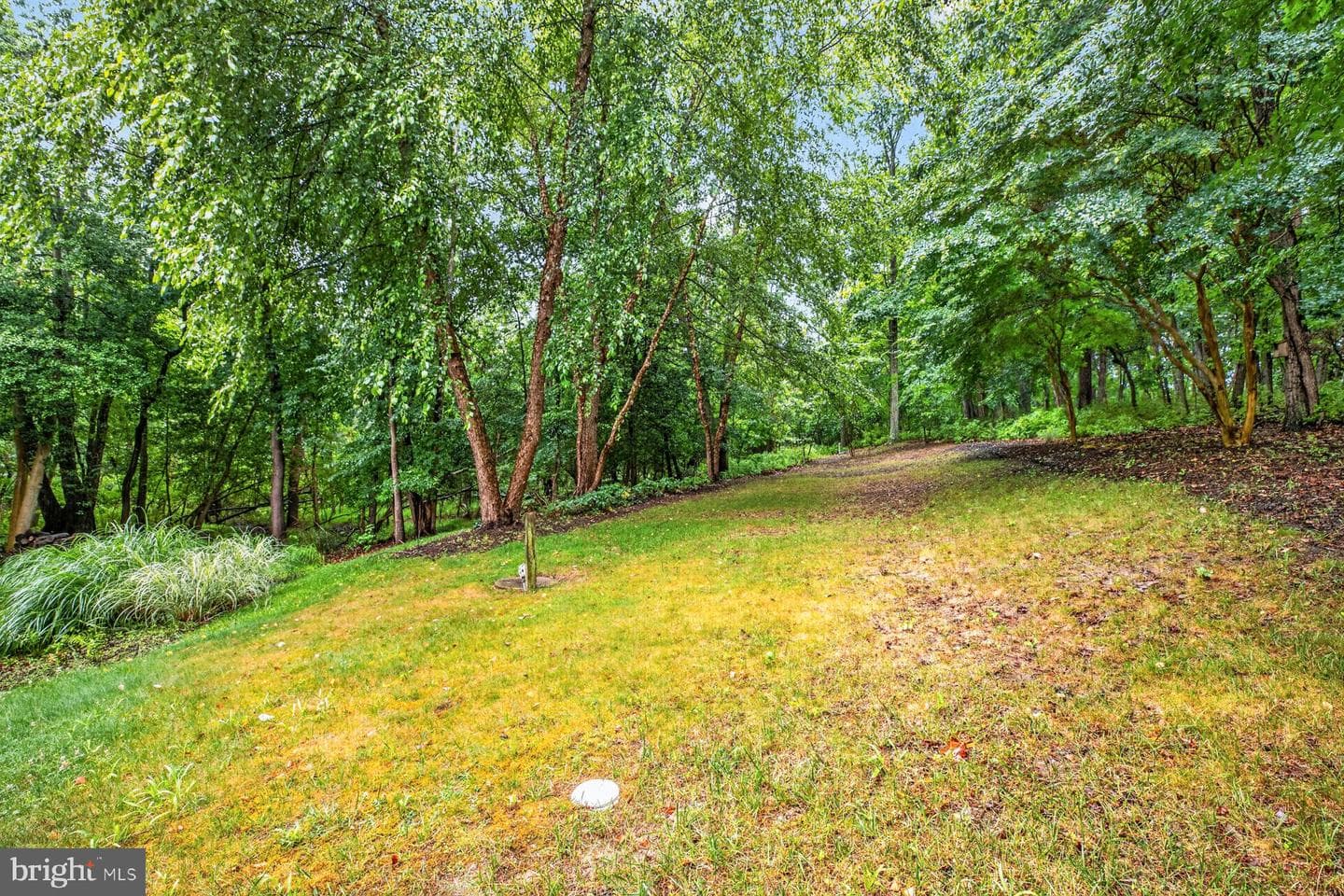 184 Hickory Point Road photo 50