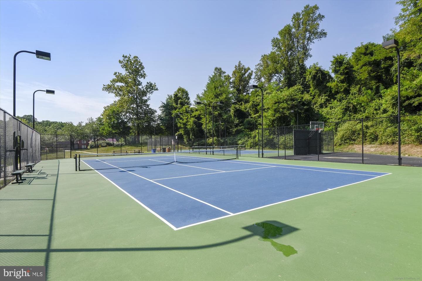 211 Gray Fox Court photo 48