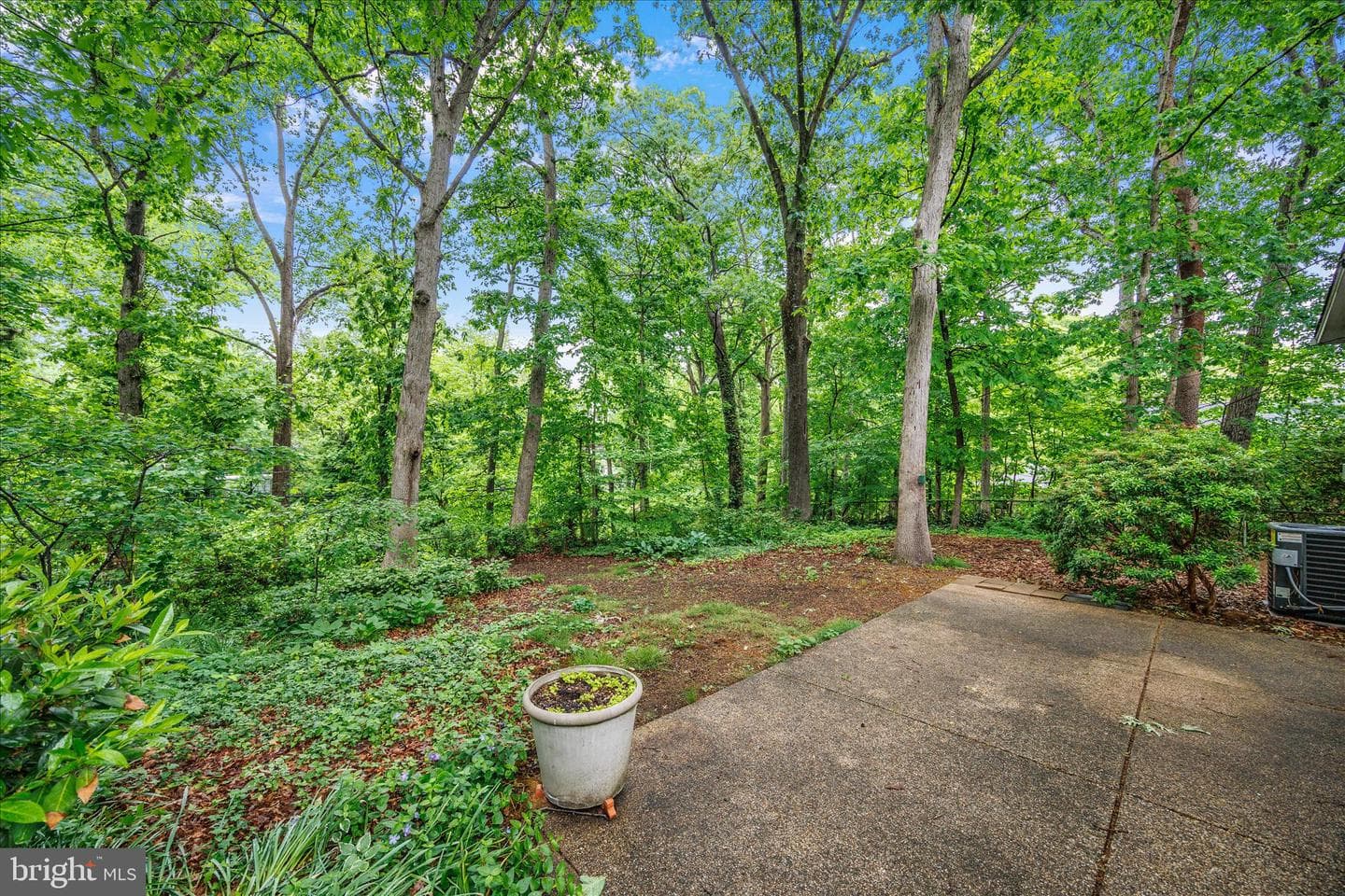 1402 Catlyn Place photo 41