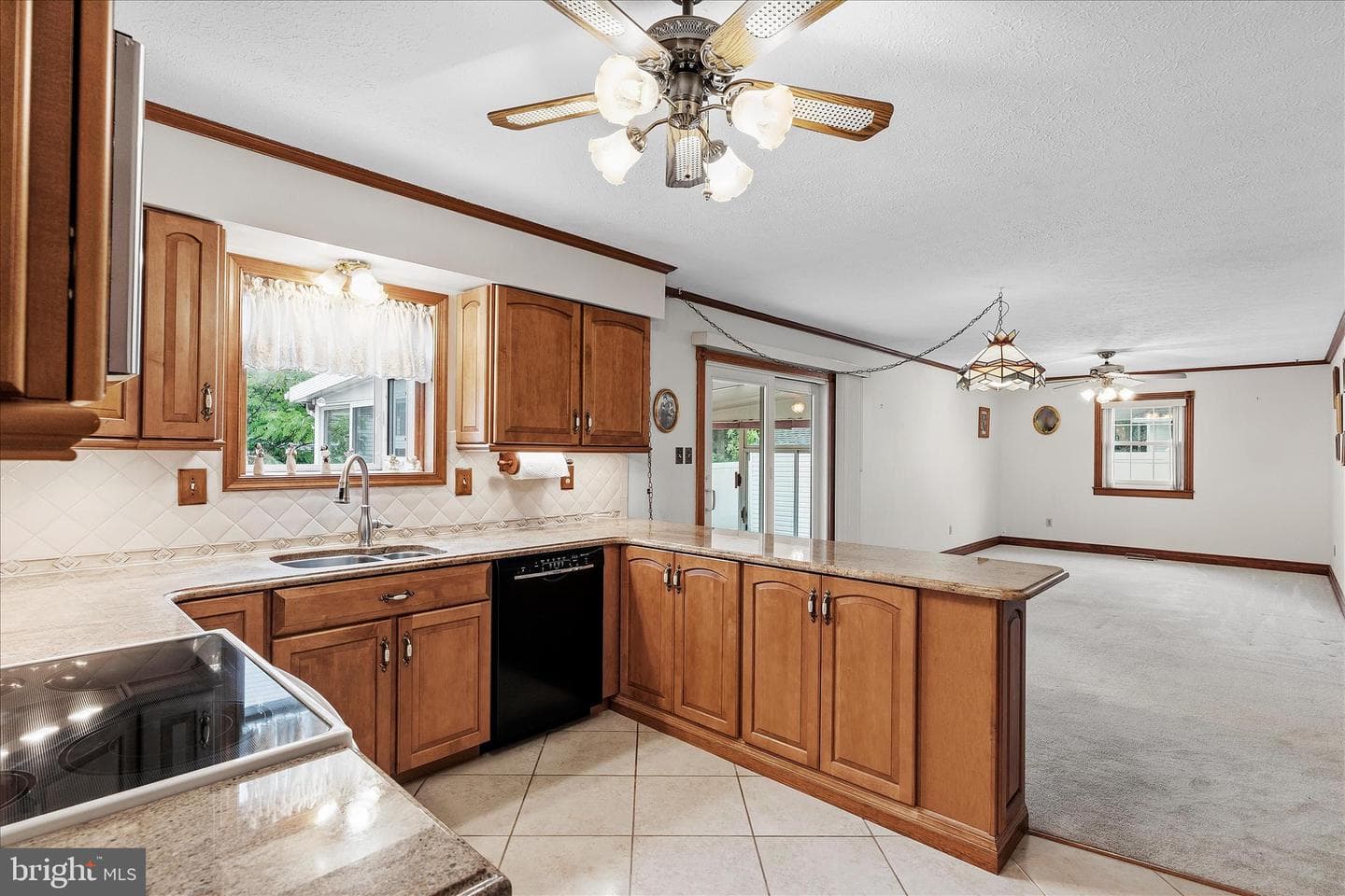 442 Williamstowne Court photo 4