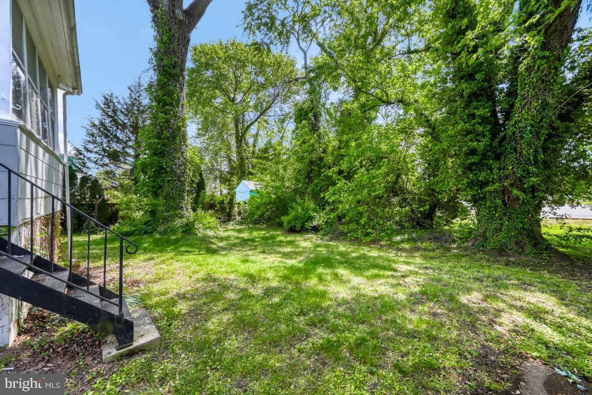 1 Eugenia Avenue photo 28