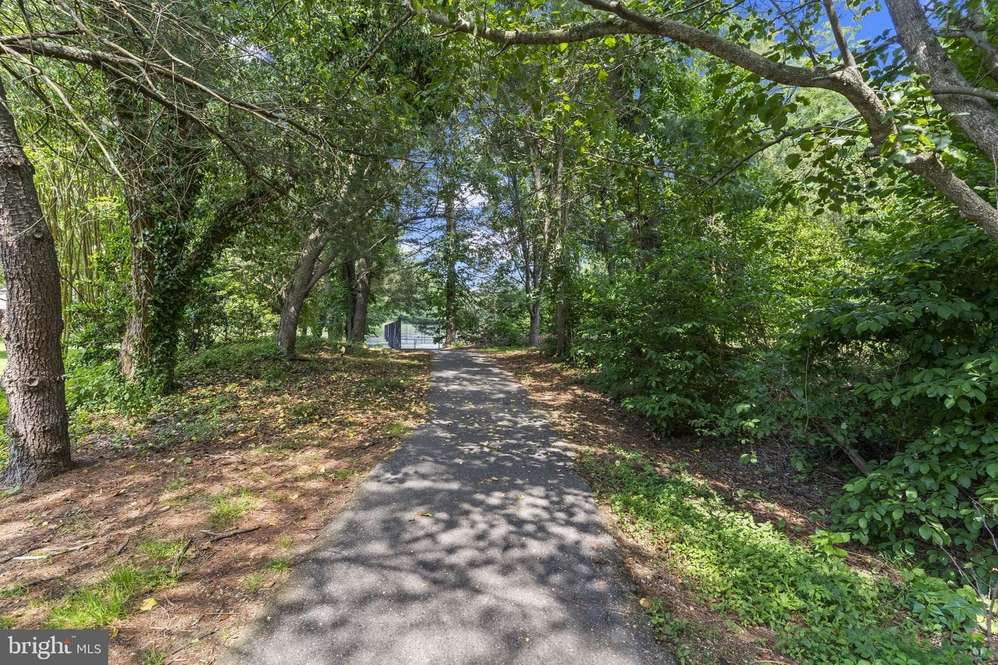 2505 Lesh Court photo 61