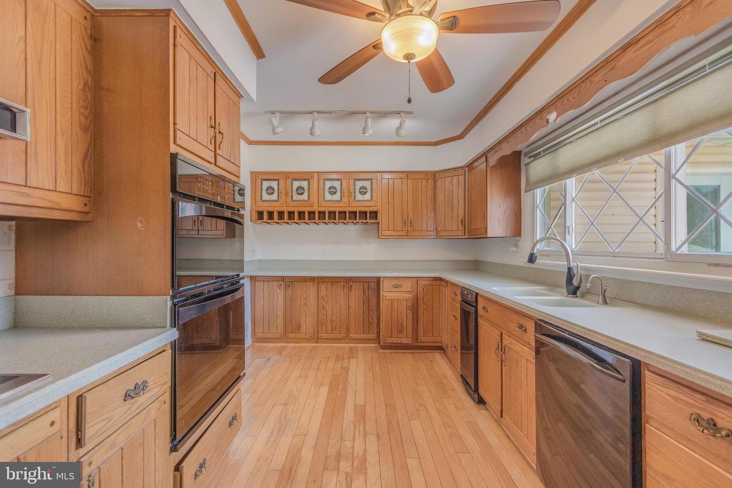 219 Coronet Drive photo 6