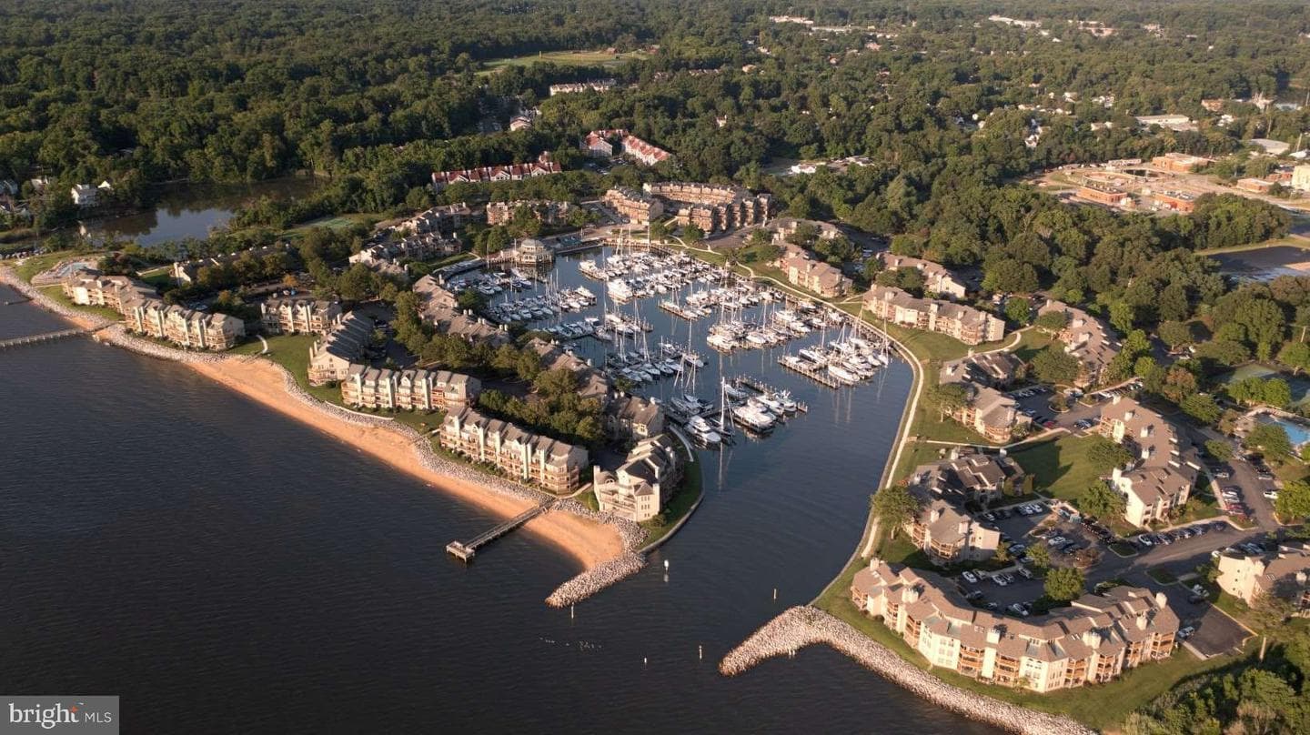 7036 Harbour Village Court #t1 photo 44