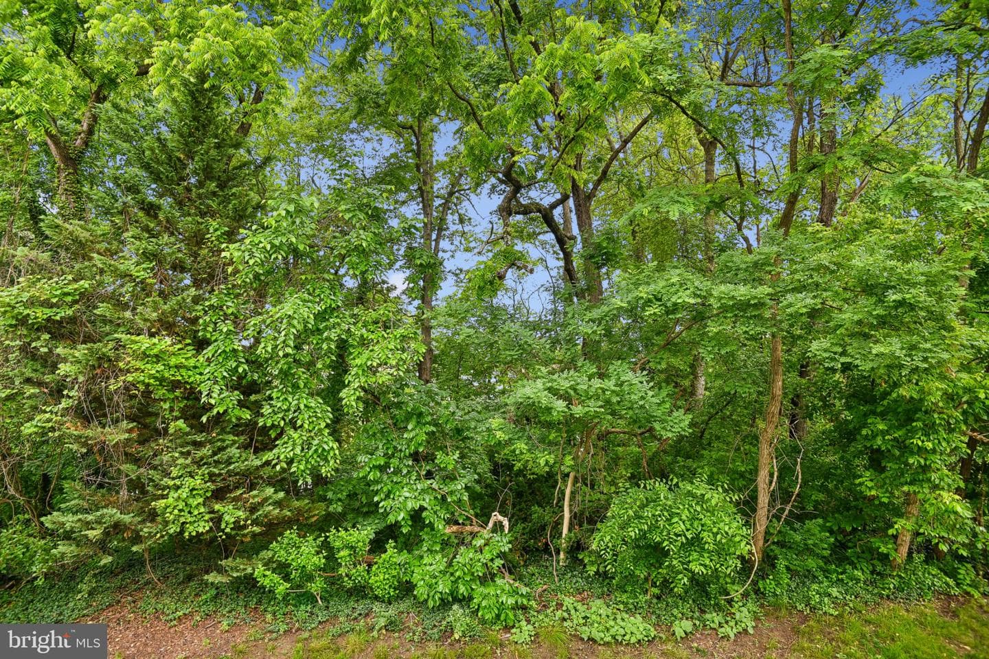 1431 Nestlewood Court photo 14