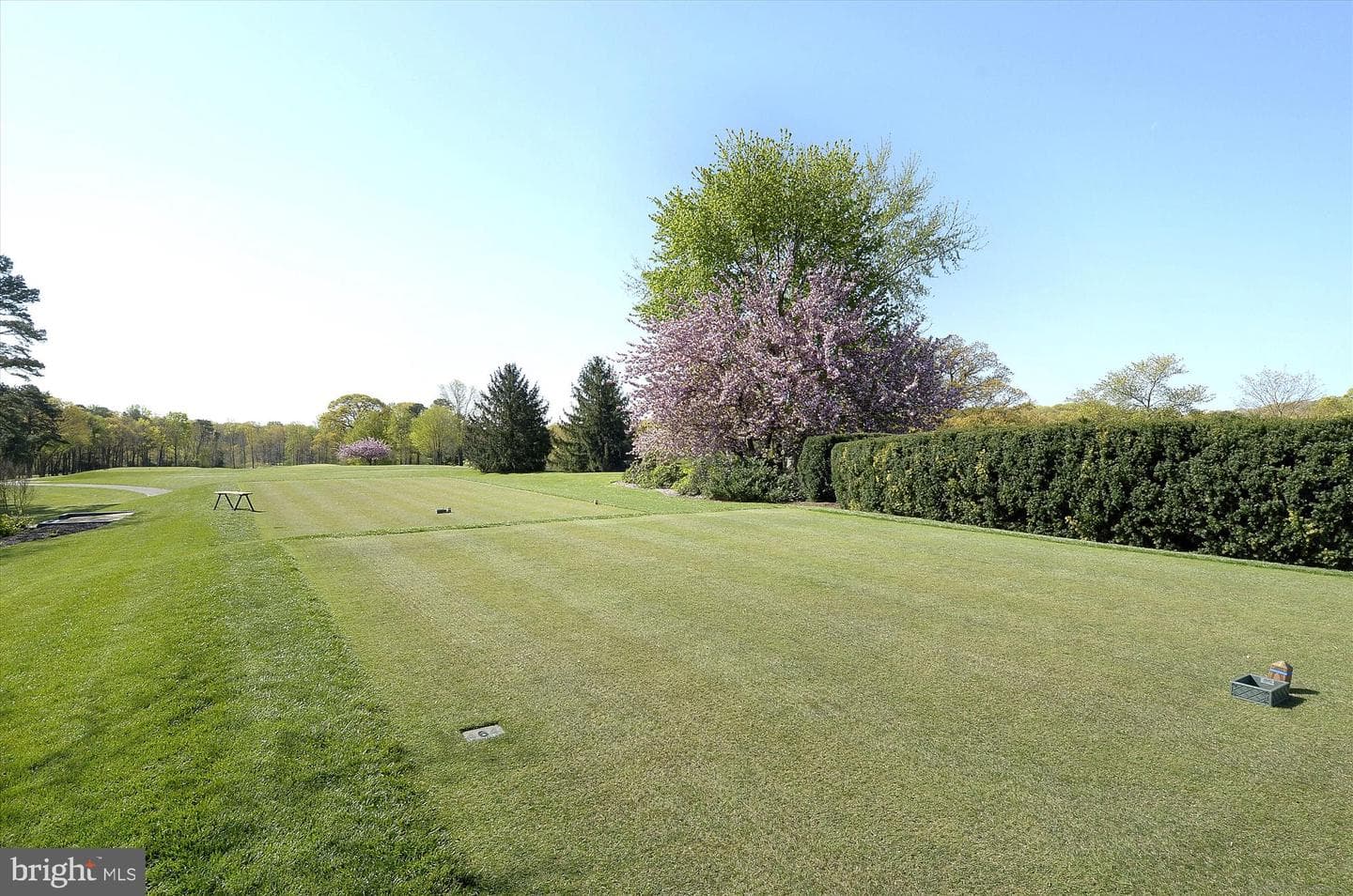 11 Saint Ives Drive photo 60