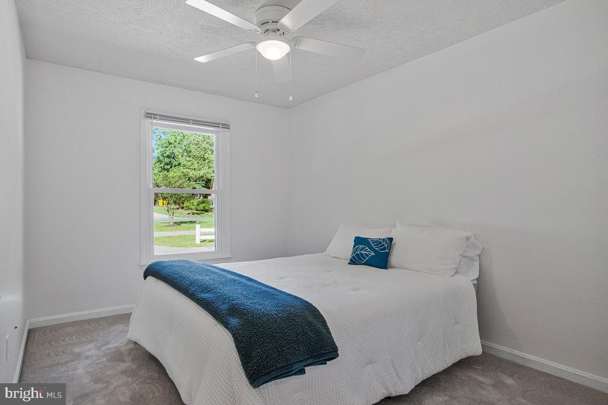 7887 Poplar Grove Road photo 29