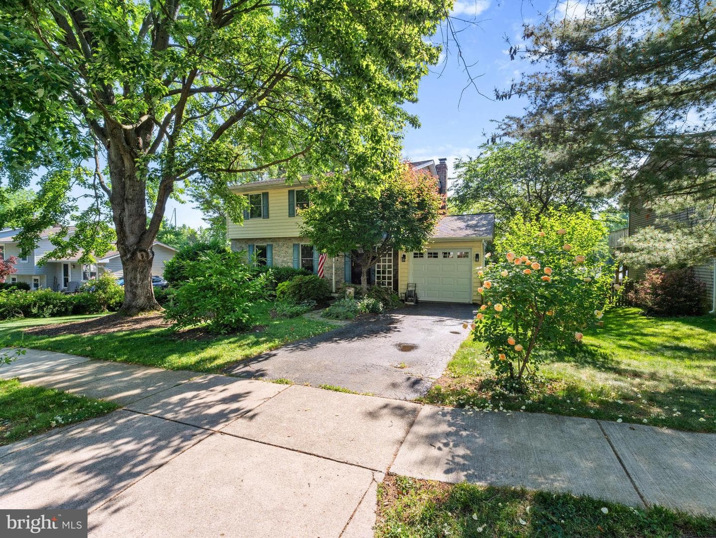 1123 Neptune Place photo 2