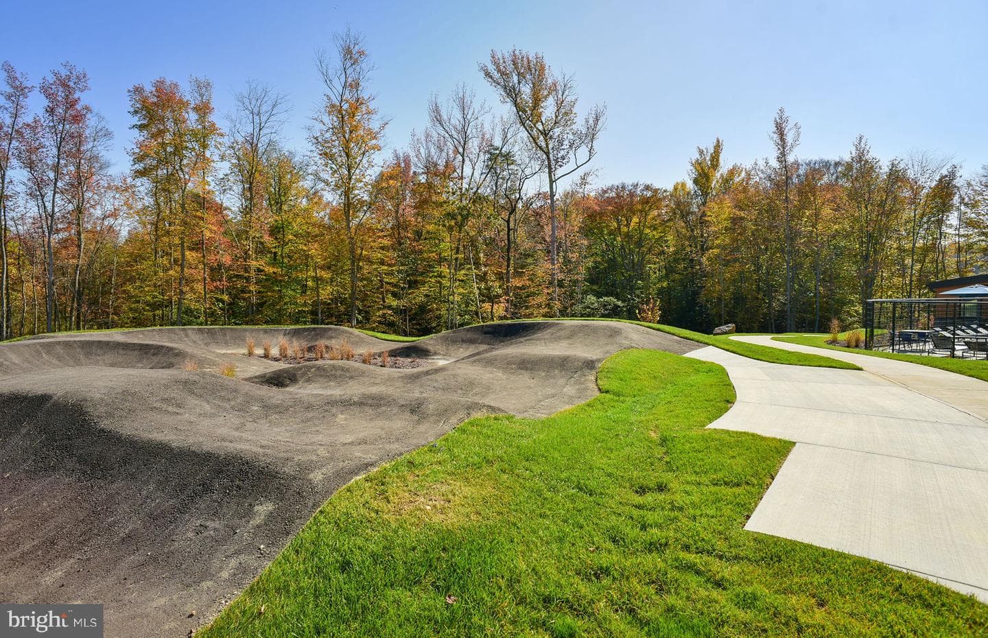 1203 Bear Oak Lane photo 42