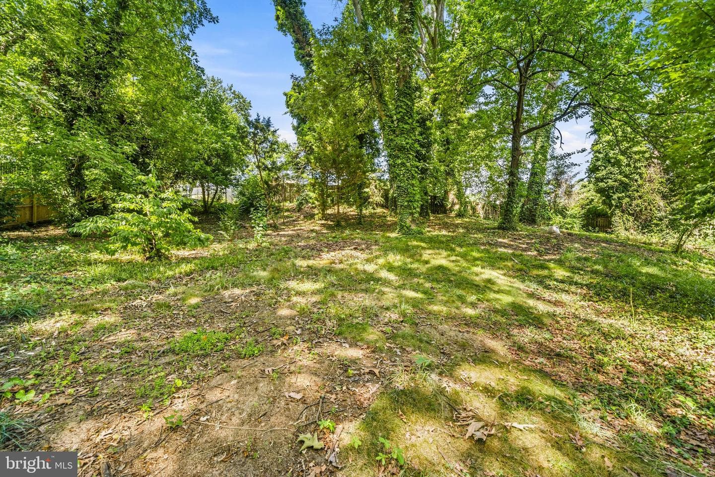 907 Golden Eye Court photo 49
