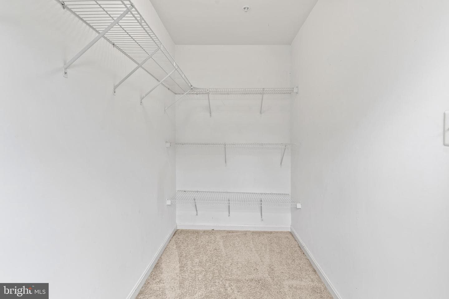 11 Harbour Heights Drive #11 photo 14