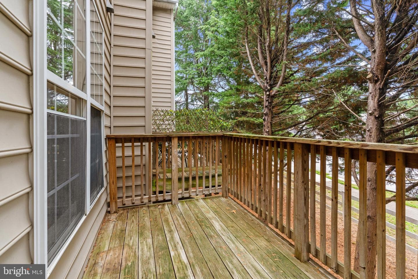 11 Harbour Heights Drive #11 photo 21