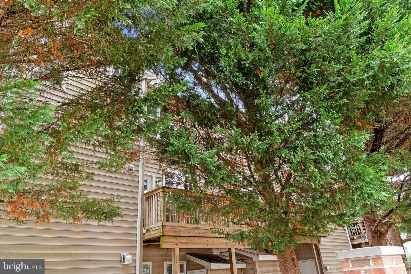 11 Harbour Heights Drive #11 photo 24