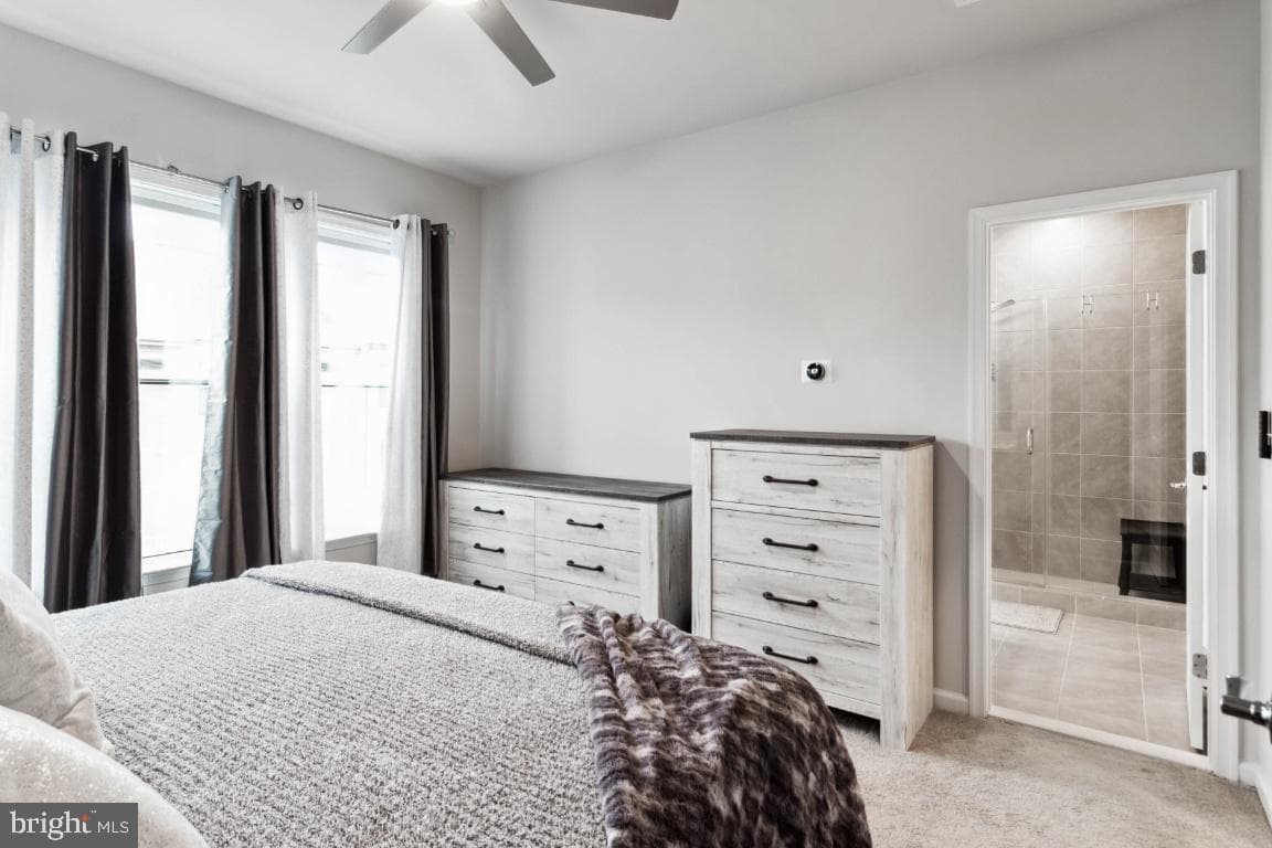 3336 Cormorant Drive photo 19