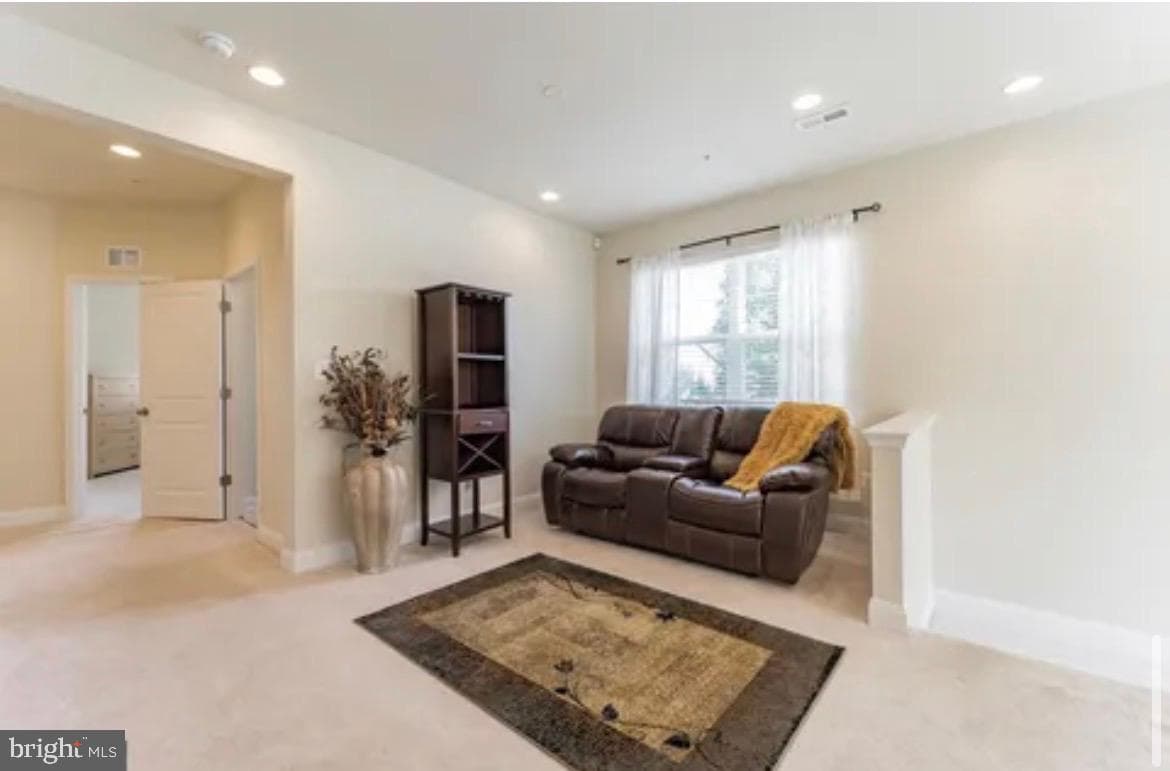513 Holly Ridge Way photo 42