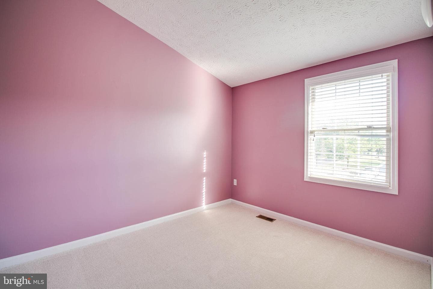 710 Quiet Pond Court photo 35