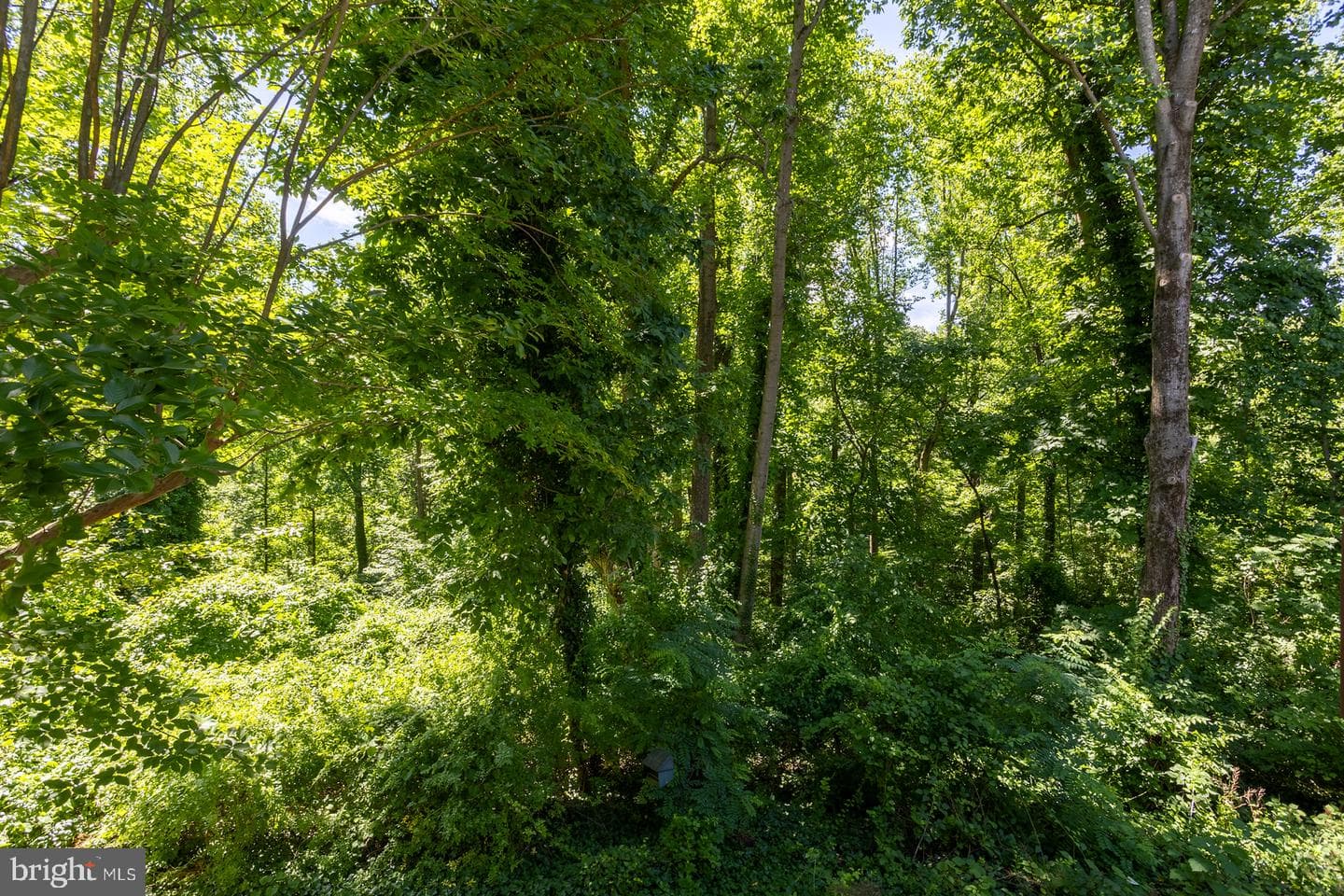 563 Bay Dale Court photo 41