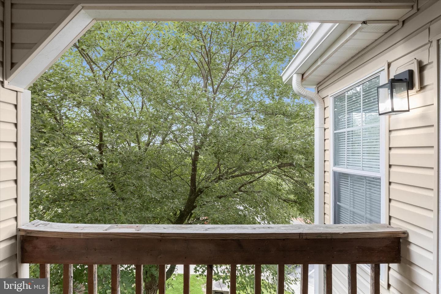 204 Juneberry Way #3d photo 4