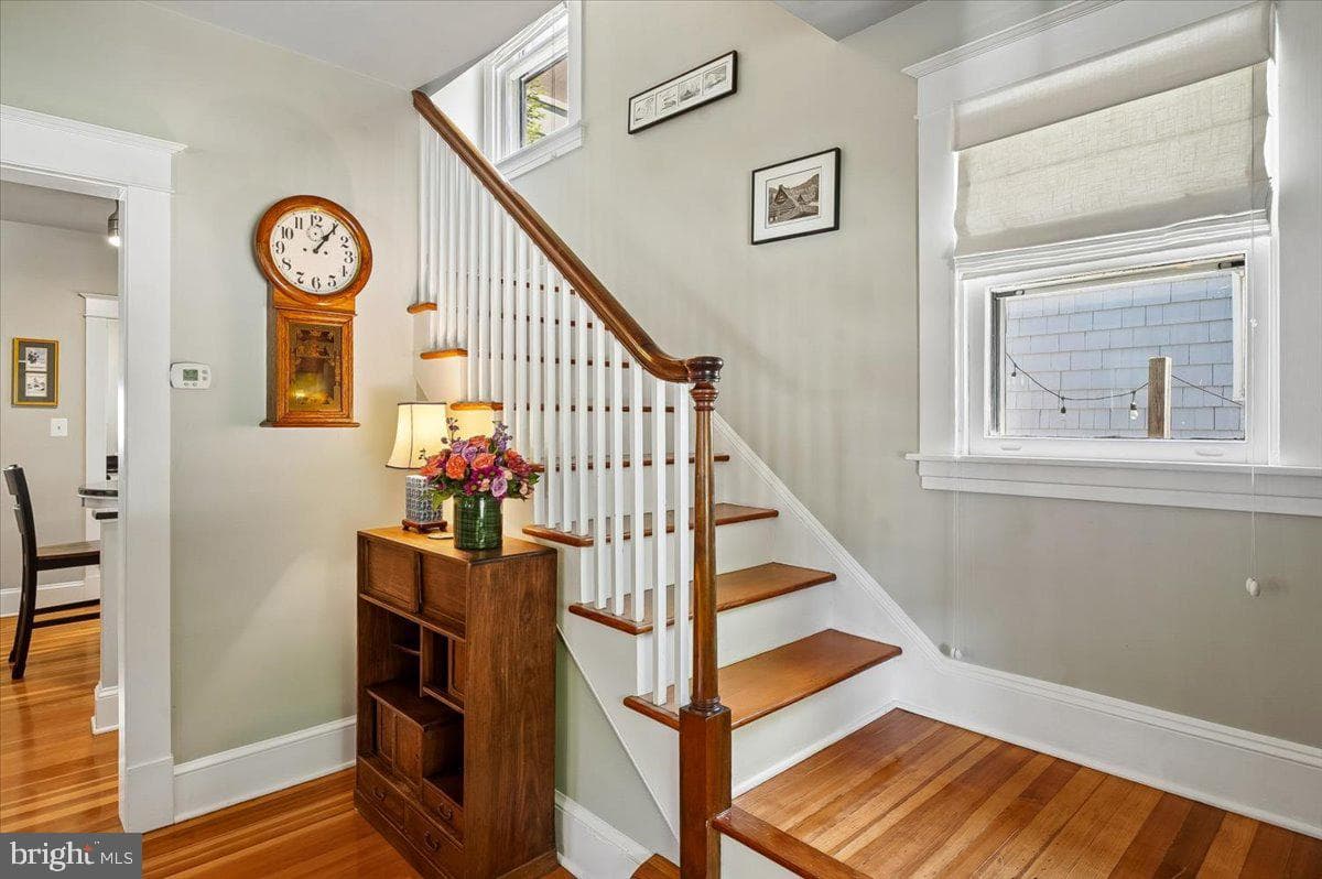 20 Shaw Street photo 22