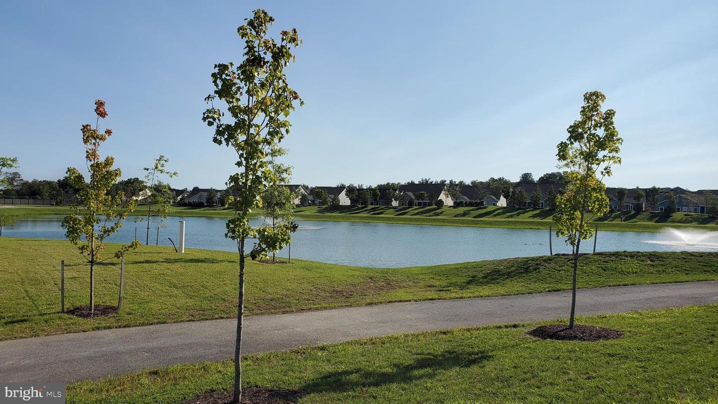 1339 Chicory Way photo 45