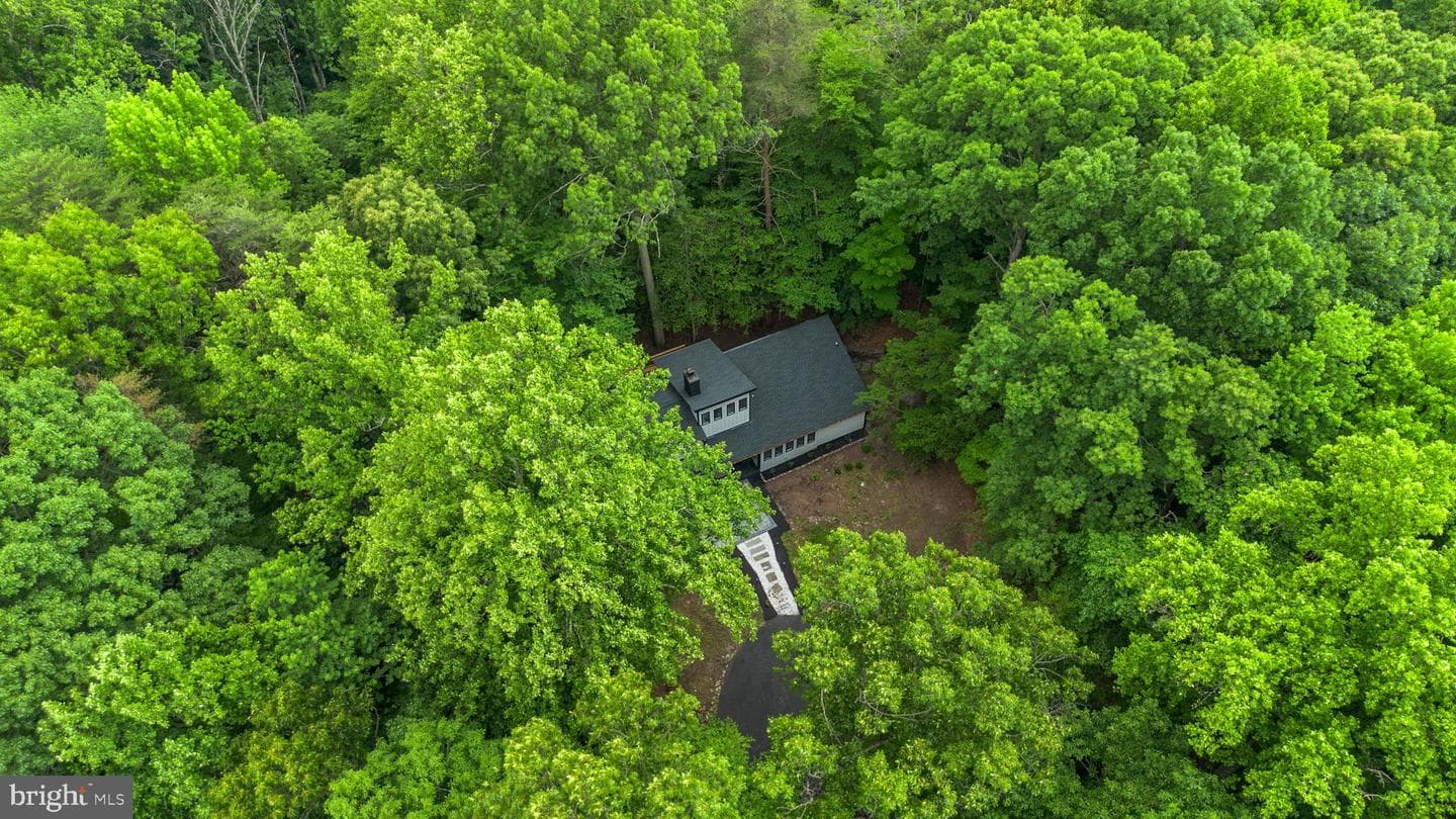 1185 Harbor Oak Dr photo 4