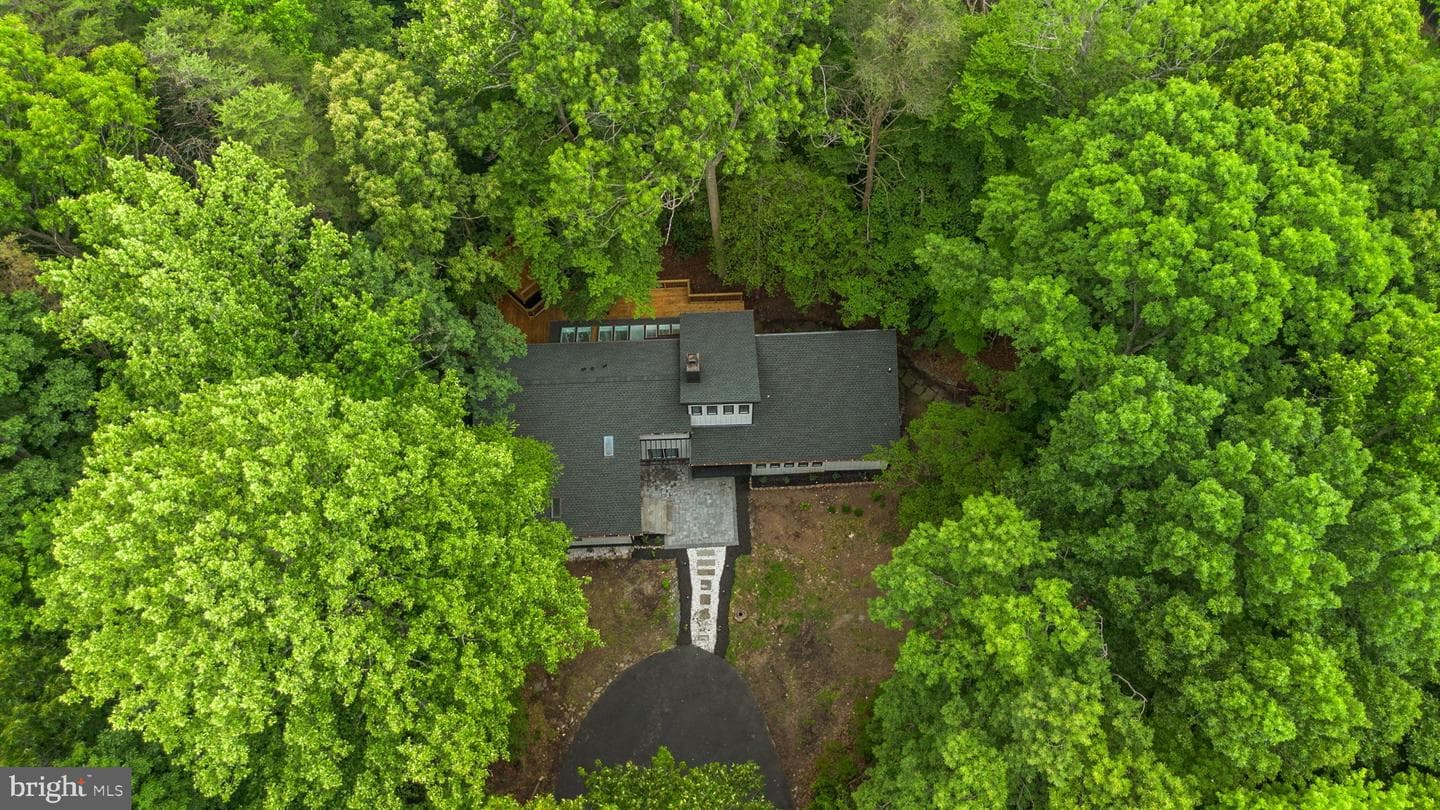 1185 Harbor Oak Dr photo 5