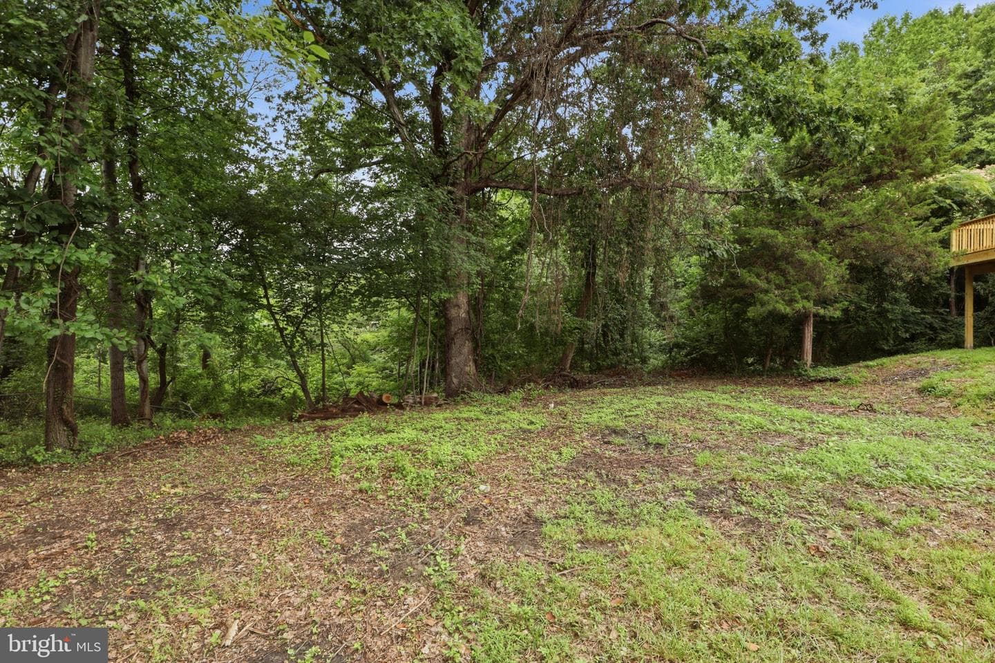 105 Simmons Lane photo 34