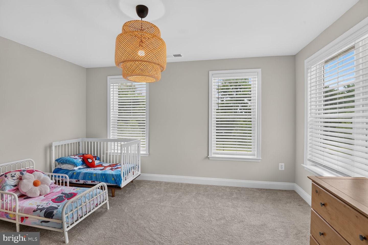 8638 Saint Anthony Drive photo 28